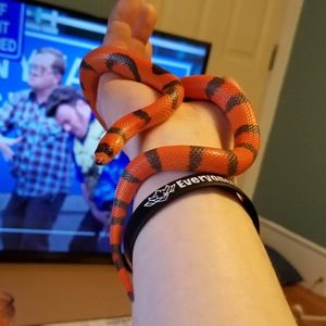 Meet your Posher, Robert